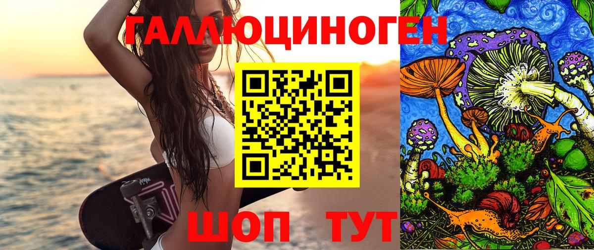 Псилоцибиновые грибы GOLDEN TEACHER  Вход с VPN  Владикавказ 